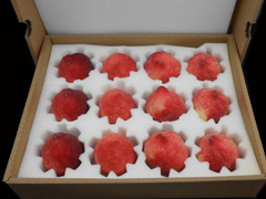 P(gun)ˮ\(yn)ݔbҪЩ