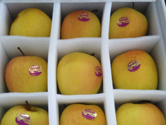 bϞʲôҪރ(ni)Ѓ(ni)r